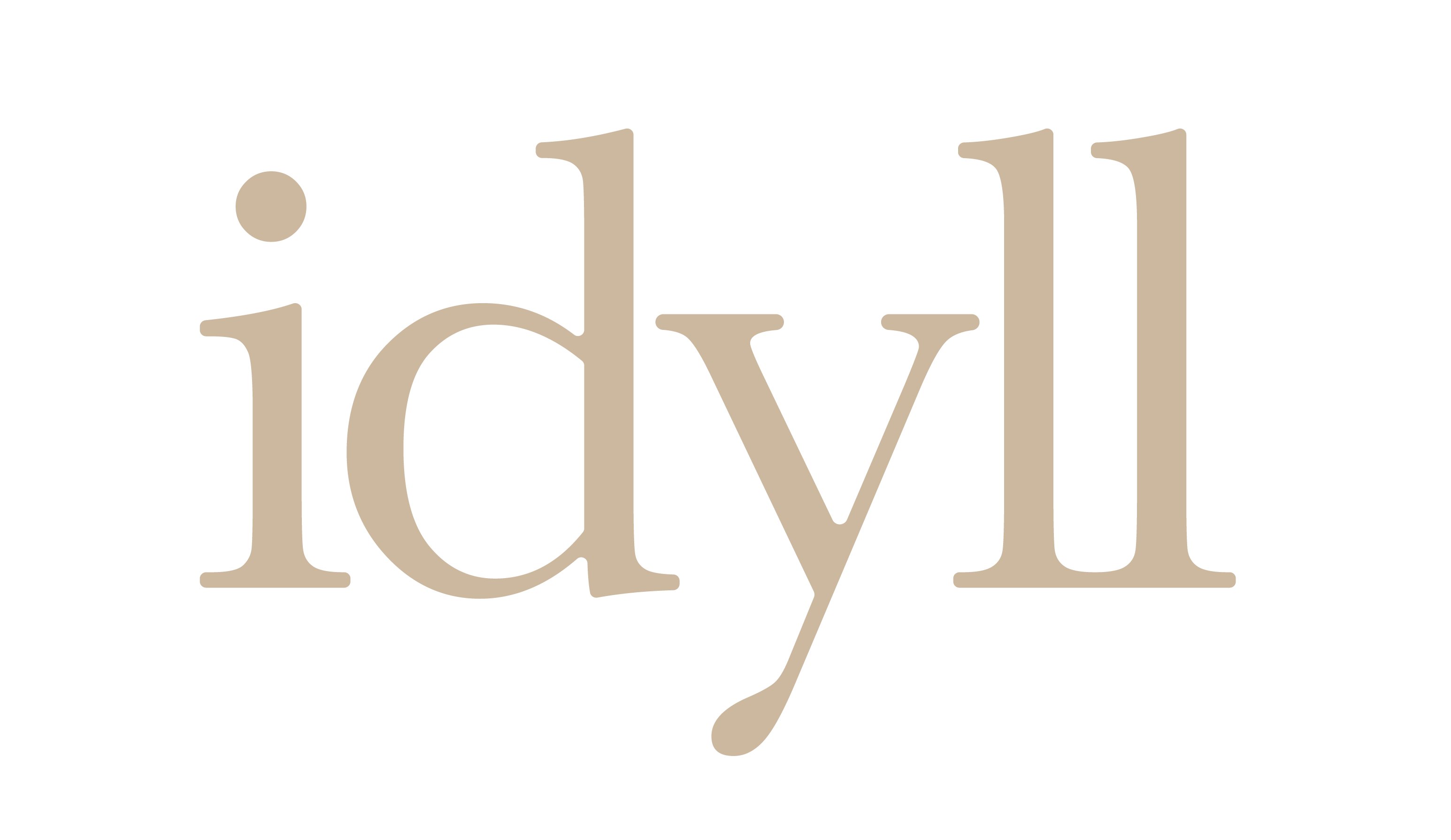 idyll concept store